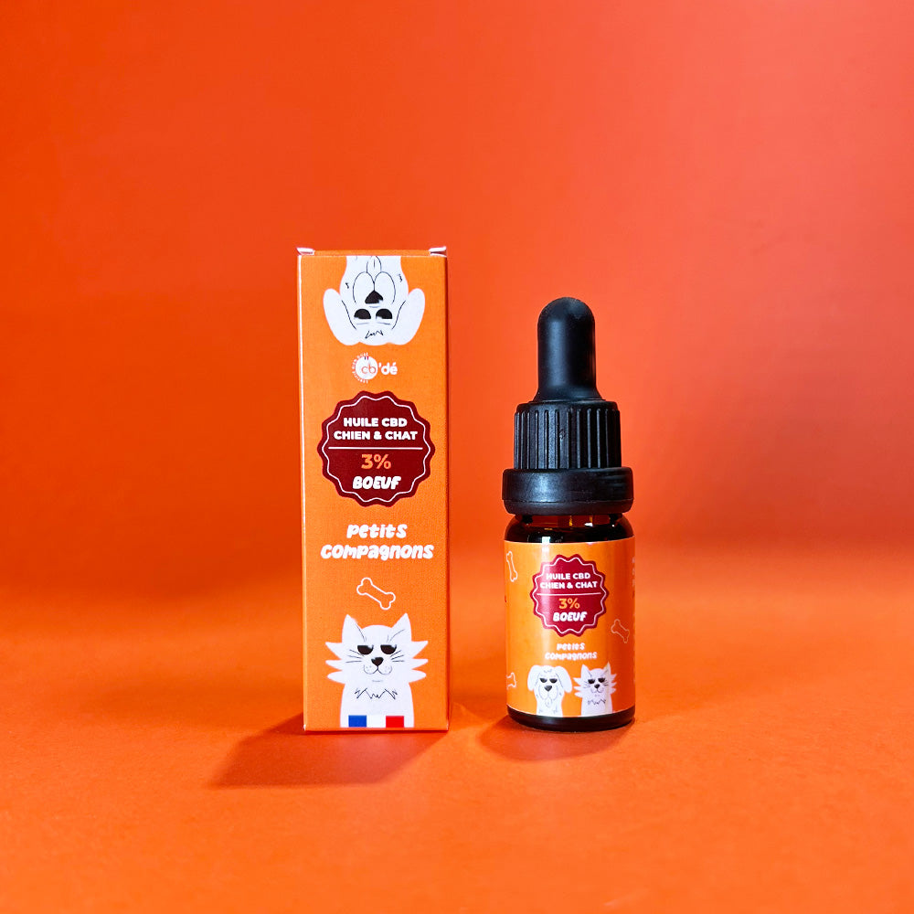 L'huile de CBD pour les chats : quels sont ses bienfaits ?