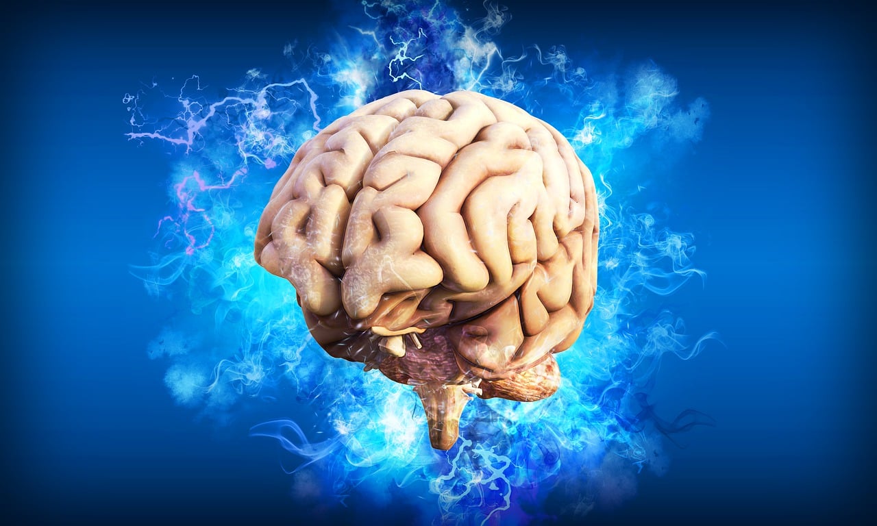 Ce que le CBD fait vraiment à votre cerveau : explications simples et scientifiques