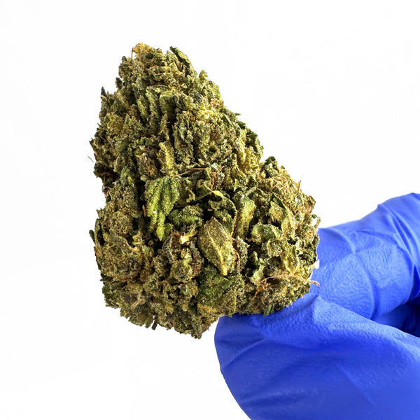 Amnesia Core Cut â fleur de CBD de la sĂ©lection cb'dĂ©