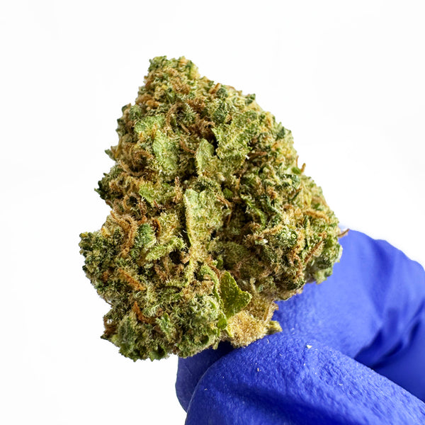 Blueberry Muffin - Popcorn CBD en macro