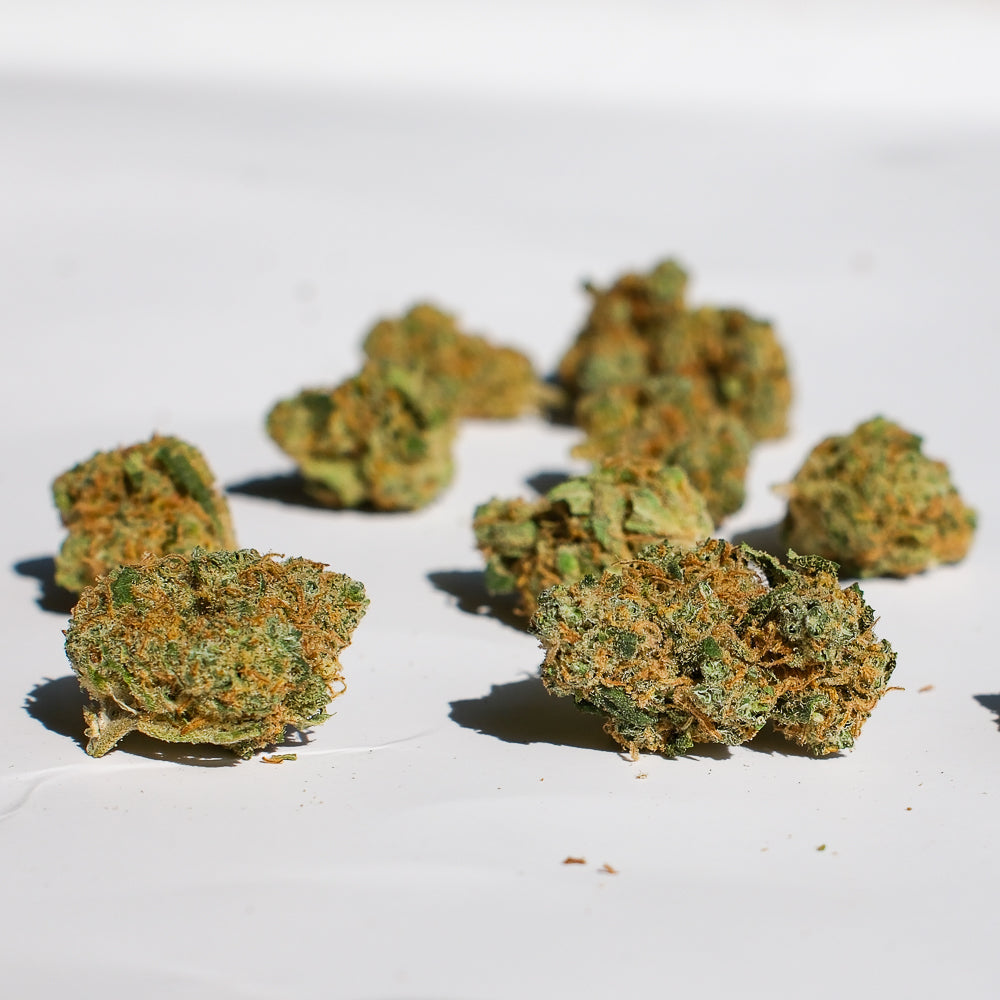 Fleurs CBD Blueberry Muffin Popcorn cultivées en Suisse premium