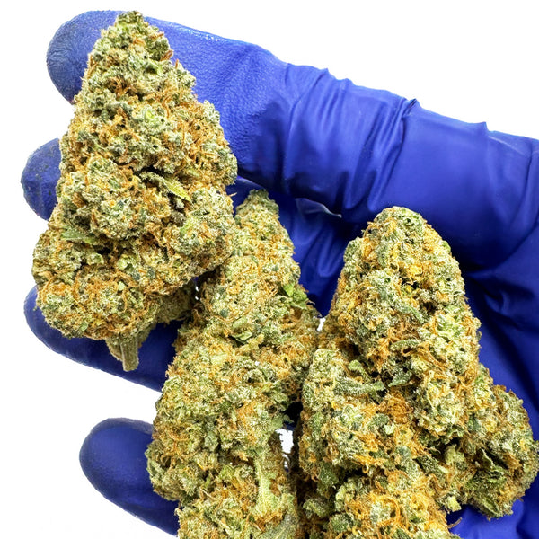 Fleur de CBD Giga Pack - Gamme Donuts - 19,5g: 13 x 1,5g vue de près