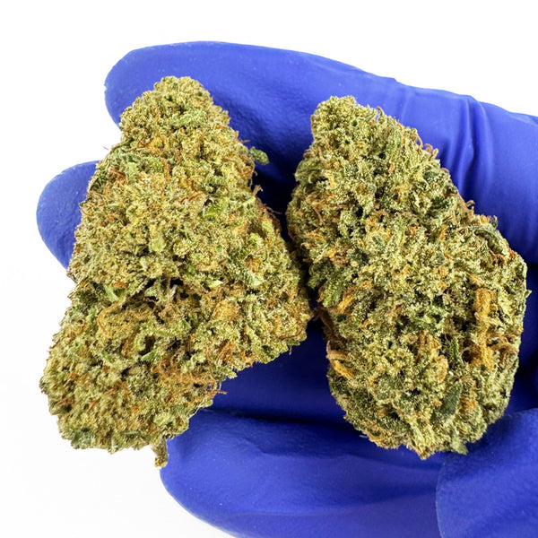Aperçu de fleur de CBD Hybride USA Cake Berry