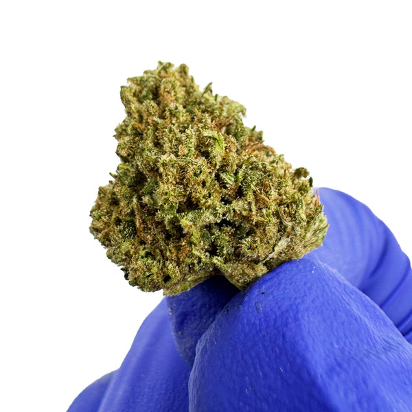 Visuel produit: Cake Berry CBD