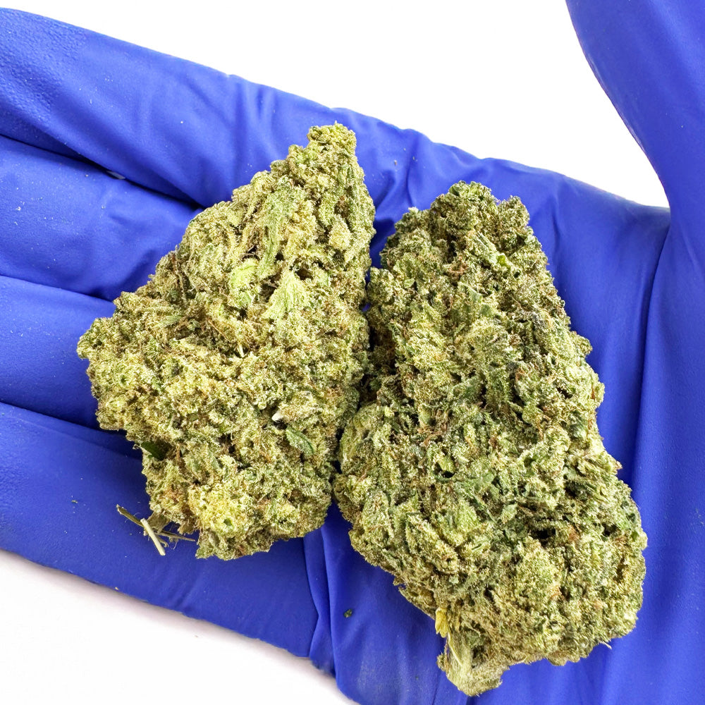 Pack Coupe du Monde - I 20g: 4x5g à 1,89€/g CBD chez cb'dé