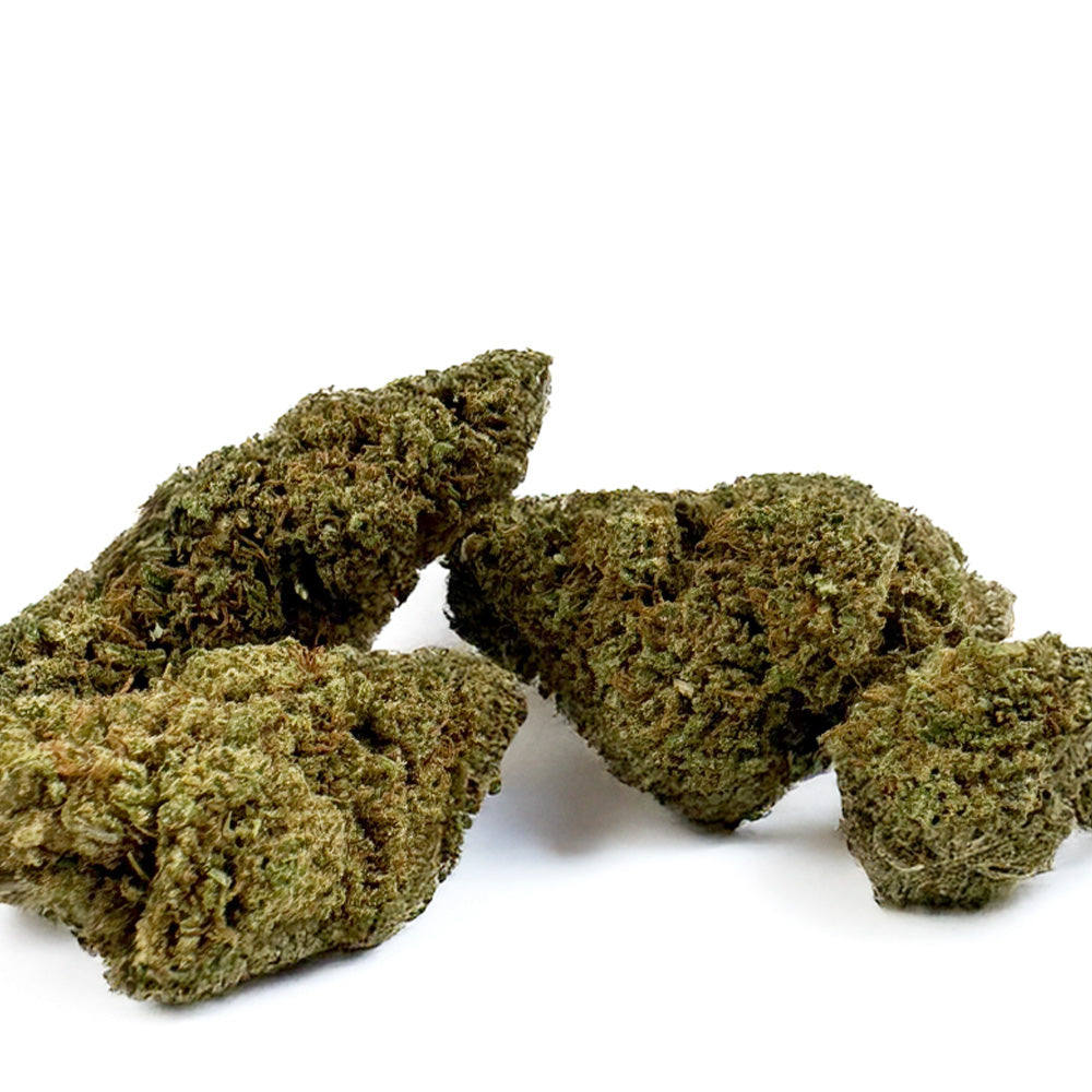 Fleur de CBD Jack Herer en haute définition