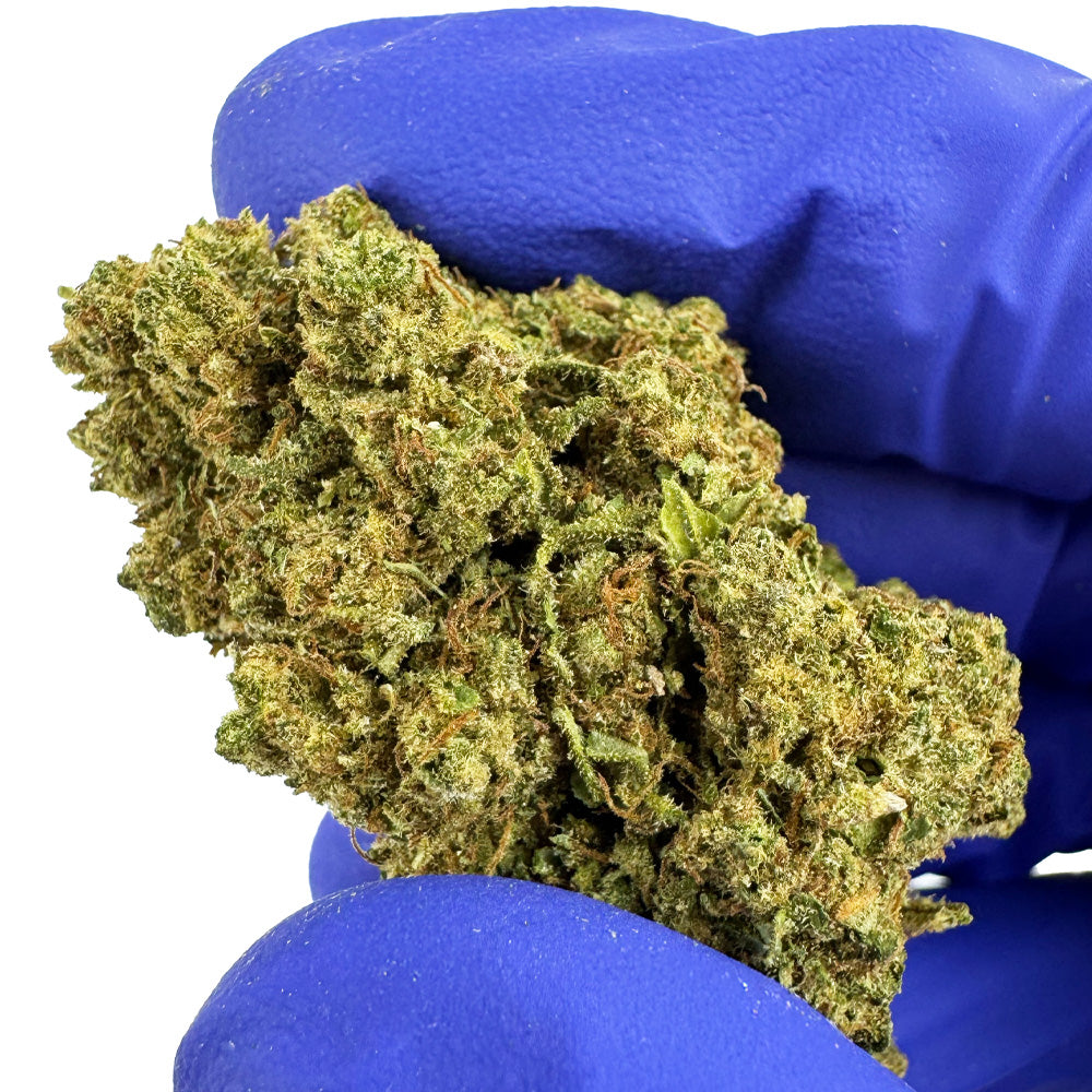 Photo détaillée de Gelato CBD