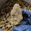 Green Crack - Hybride USA