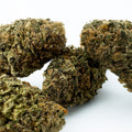 Wedding Cake - INDOOR