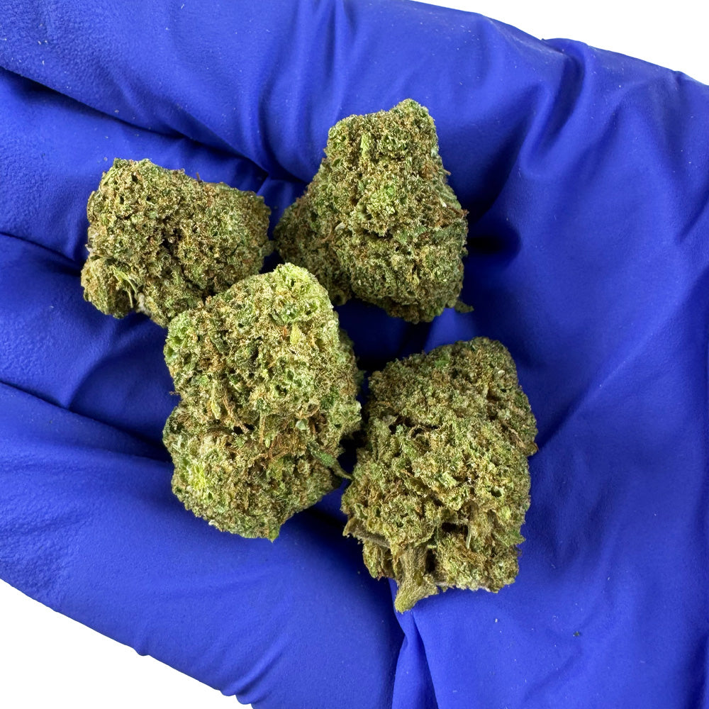 Jack Herer — fleur de CBD haut de gamme