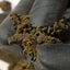 Jelly Hash 50% CBD