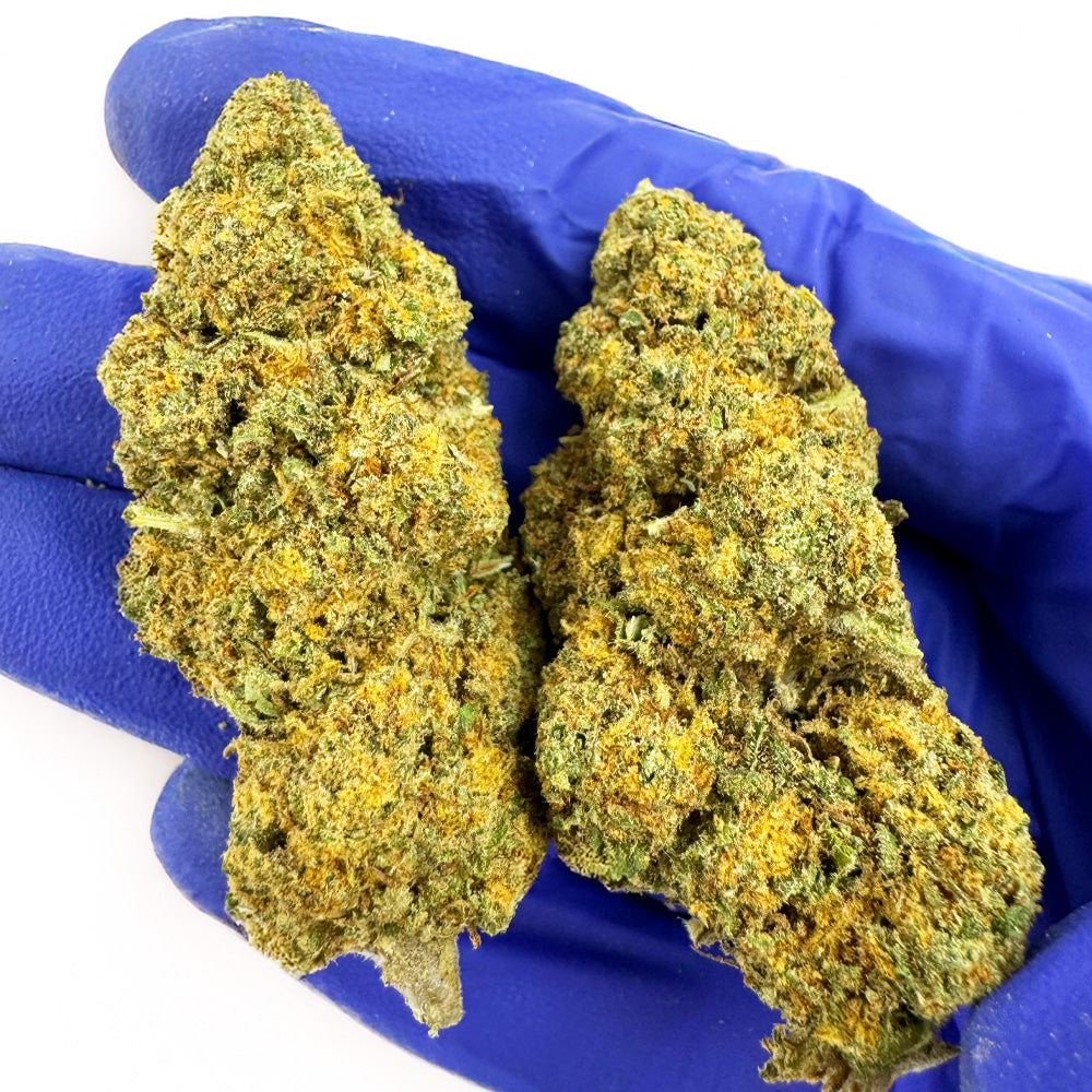 Orange Bud - CALI CBD de qualité