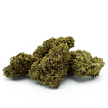 Gorilla Glue - HYBRIDE USA