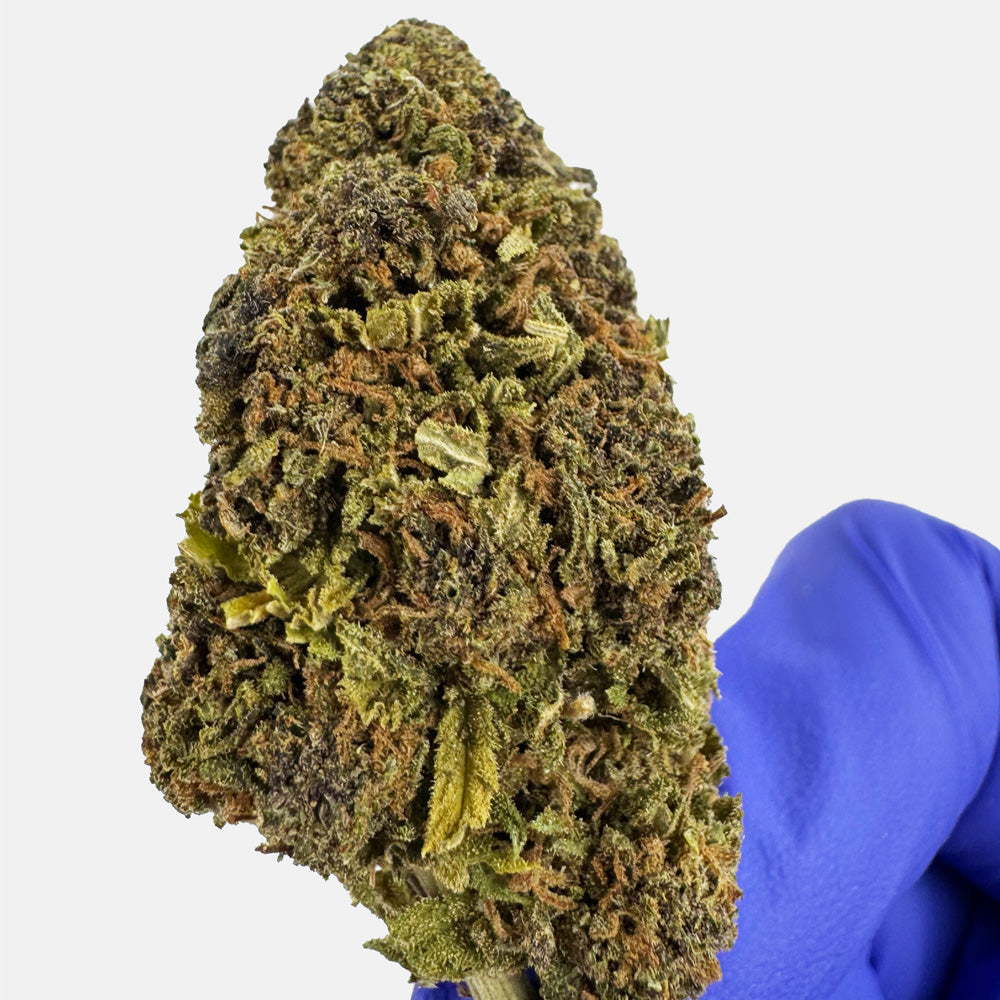Fleur de CBD Outdoor Purple Haze