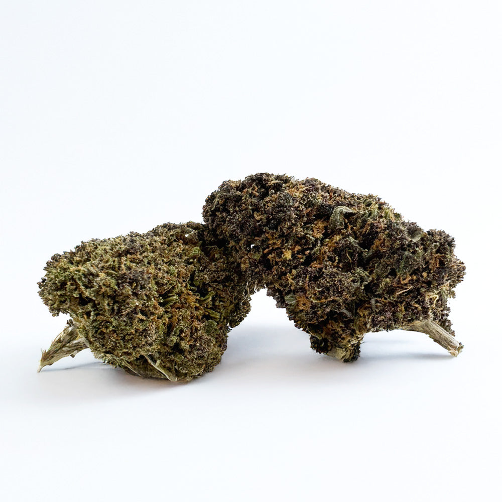 Fleur de CBD Hybride USA Purple Lemon Haze