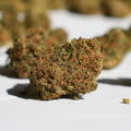 Strawberry Glasshouse - Medium Buds