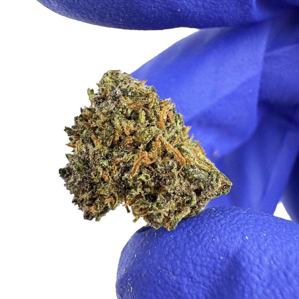 Sapphire Kush CBD Small Buds chez cb'dé