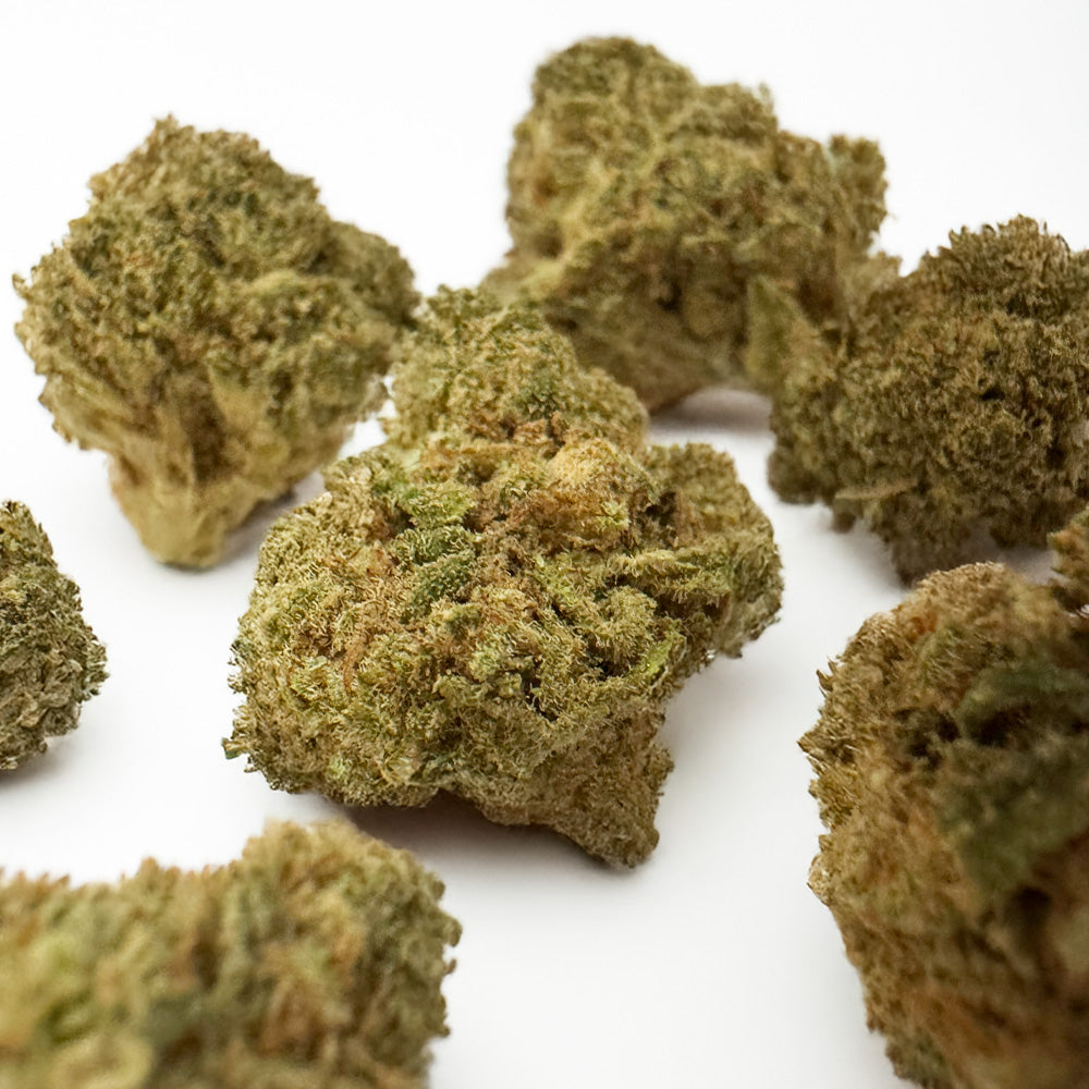Amnesia — fleur de CBD haut de gamme