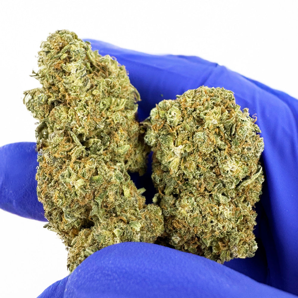 Aperçu de Tangerine Dream CBD