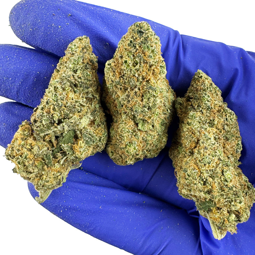 Gros plan sur Super Skunk CBD
