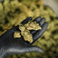 Comparaison de trois fleurs de CBD