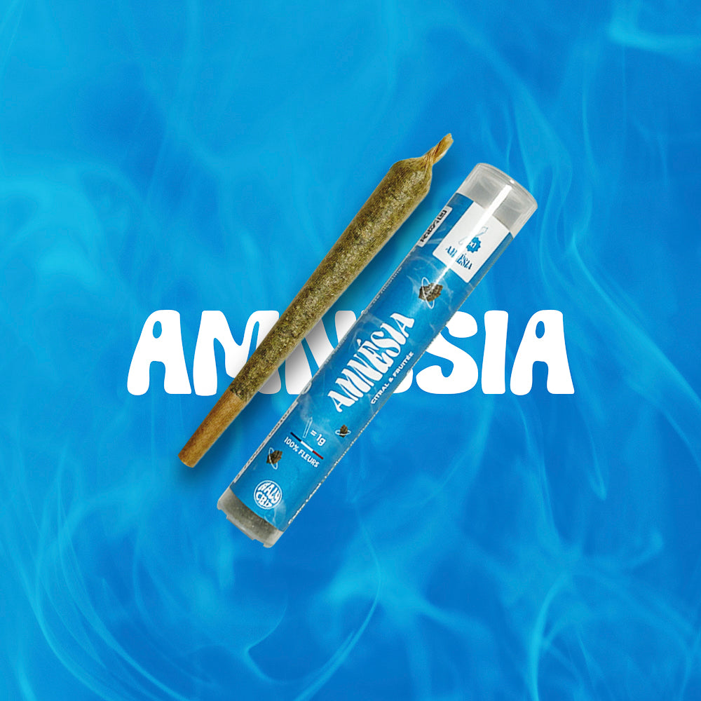 Pré-roulé CBD Amnesia x1