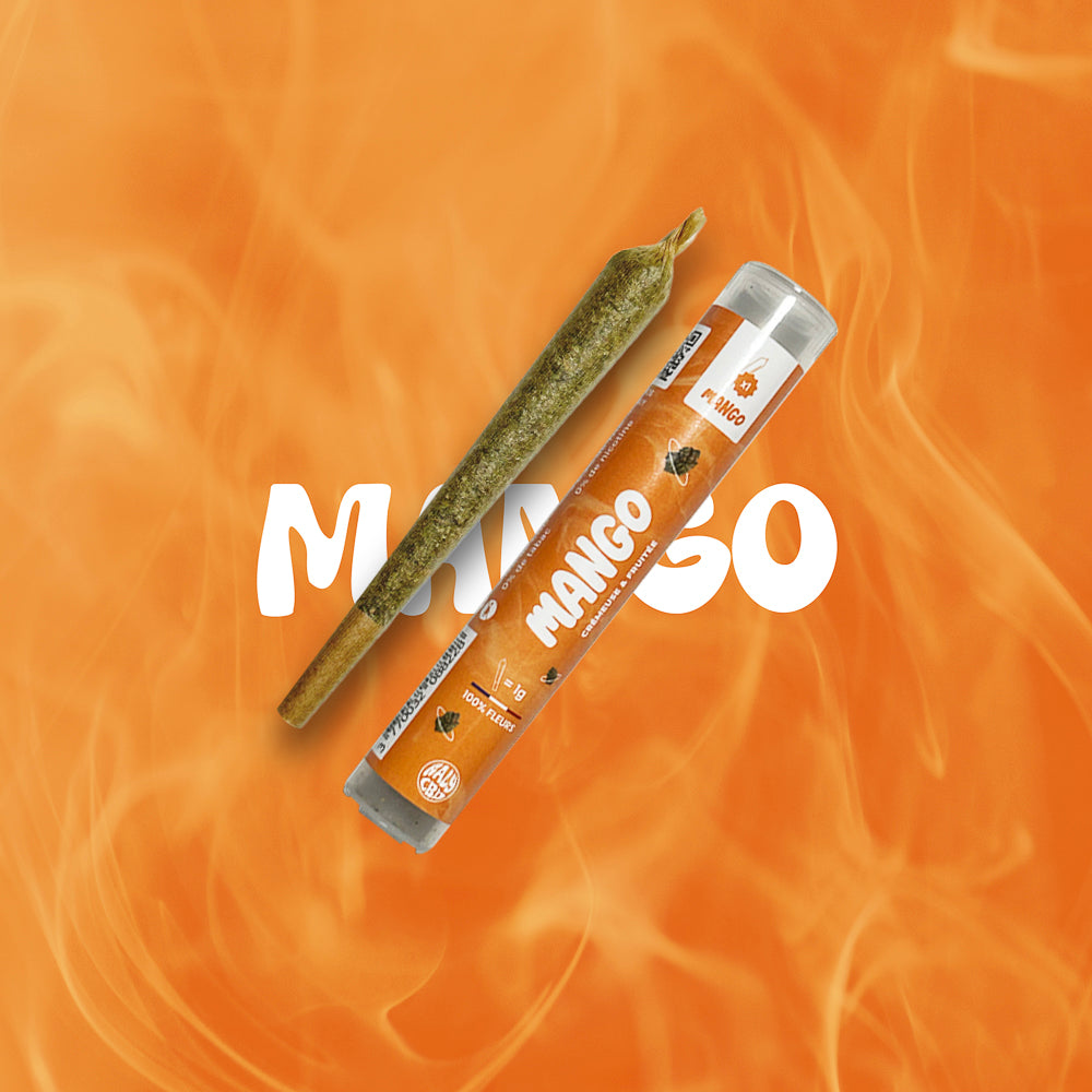 Pré-roulé CBD Mango x1