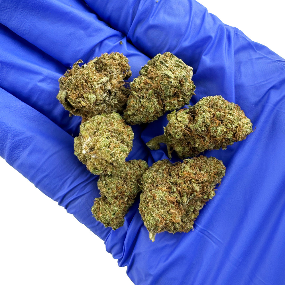 C'est quoi une Small Buds (et pourquoi c'est le moment d'en profiter) ?