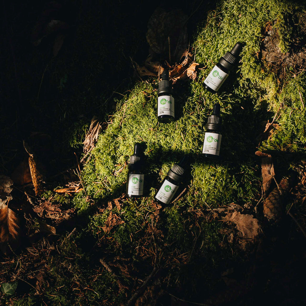 Comment intégrer le CBD dans votre routine bien-être : 5 astuces et idées