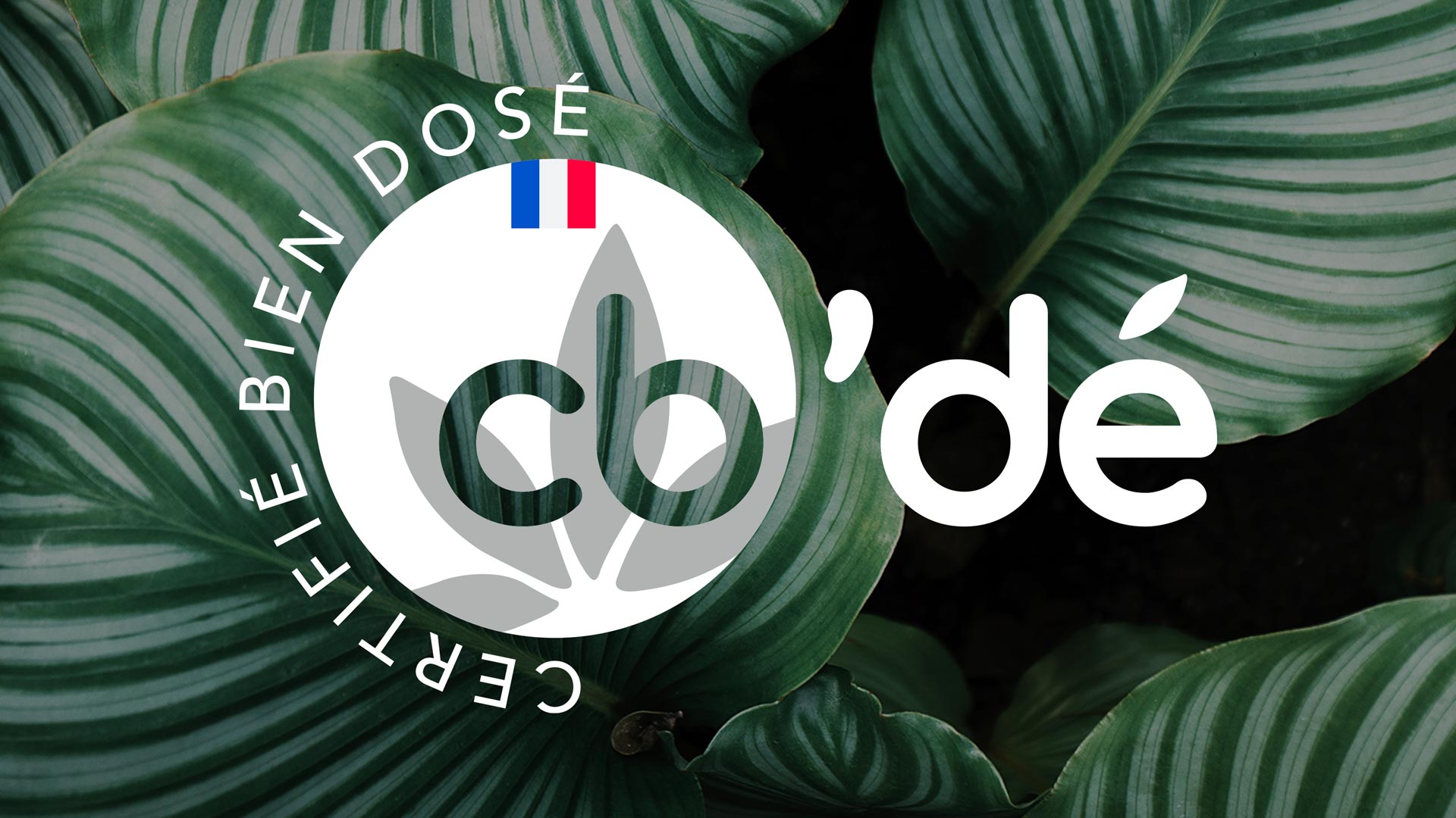 Nos Valeurs, notre marque présentée...