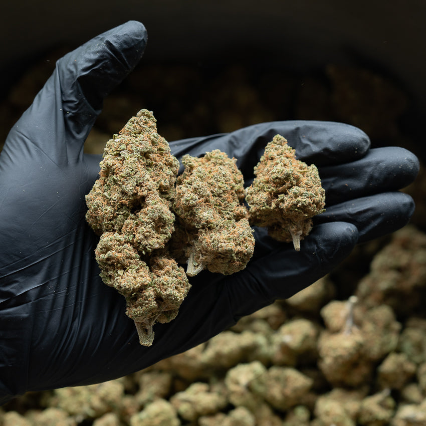 CBD Promo : Code promo -40% et réductions exclusives