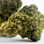 Acapulco Gold - Glasshouse