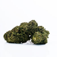 Fleur de CBD Acapulco Gold en gros plan