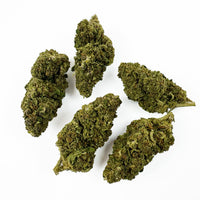 Acapulco Gold — fleur de CBD de qualité