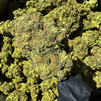 Photo Amnesia Frozen CBD grosses têtes puissantes