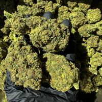 Amnesia Frozen Indoor CBD puissantes et résineuses