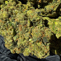 Fleur de CBD Amnesia Frozen Indoor compacte