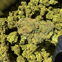 Image Amnesia Frozen Indoor CBD premium