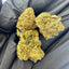 Fleurs CBD Amnesia Small Buds en gros plan