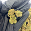 Petits buds de CBD Amnesia bien manucurés