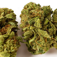 Photo de fleur de CBD Hybride USA Amnesia Core Cut