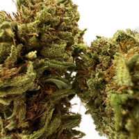 Amnesia Core Cut CBD, trichomes visibles