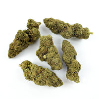 Amnesia Core Cut CBD vue de près