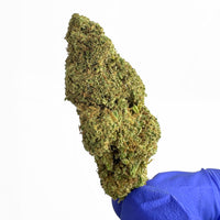Visuel de fleur de CBD Hybride USA Amnesia Core Cut