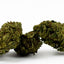 Amnesia Core Cut USA - Medium Buds