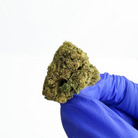 Aperçu de fleur de CBD Small Buds Amnesia Core Cut