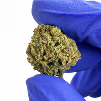 Amnesia Core Cut CBD, trichomes visibles