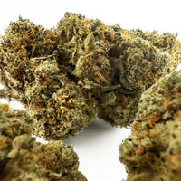 Fleur de CBD Amnesia — trichomes visibles