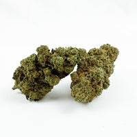 Fleur de CBD Amnesia — couleur intense
