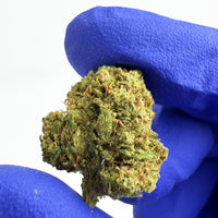 Fleur de CBD Indoor Blueberry Muffin - Popcorn